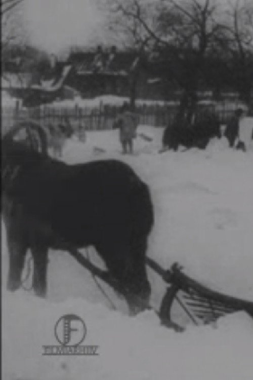 The Great Blizzard in the Baltics in December