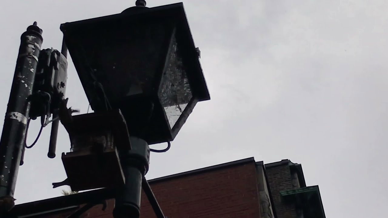 A gray day
