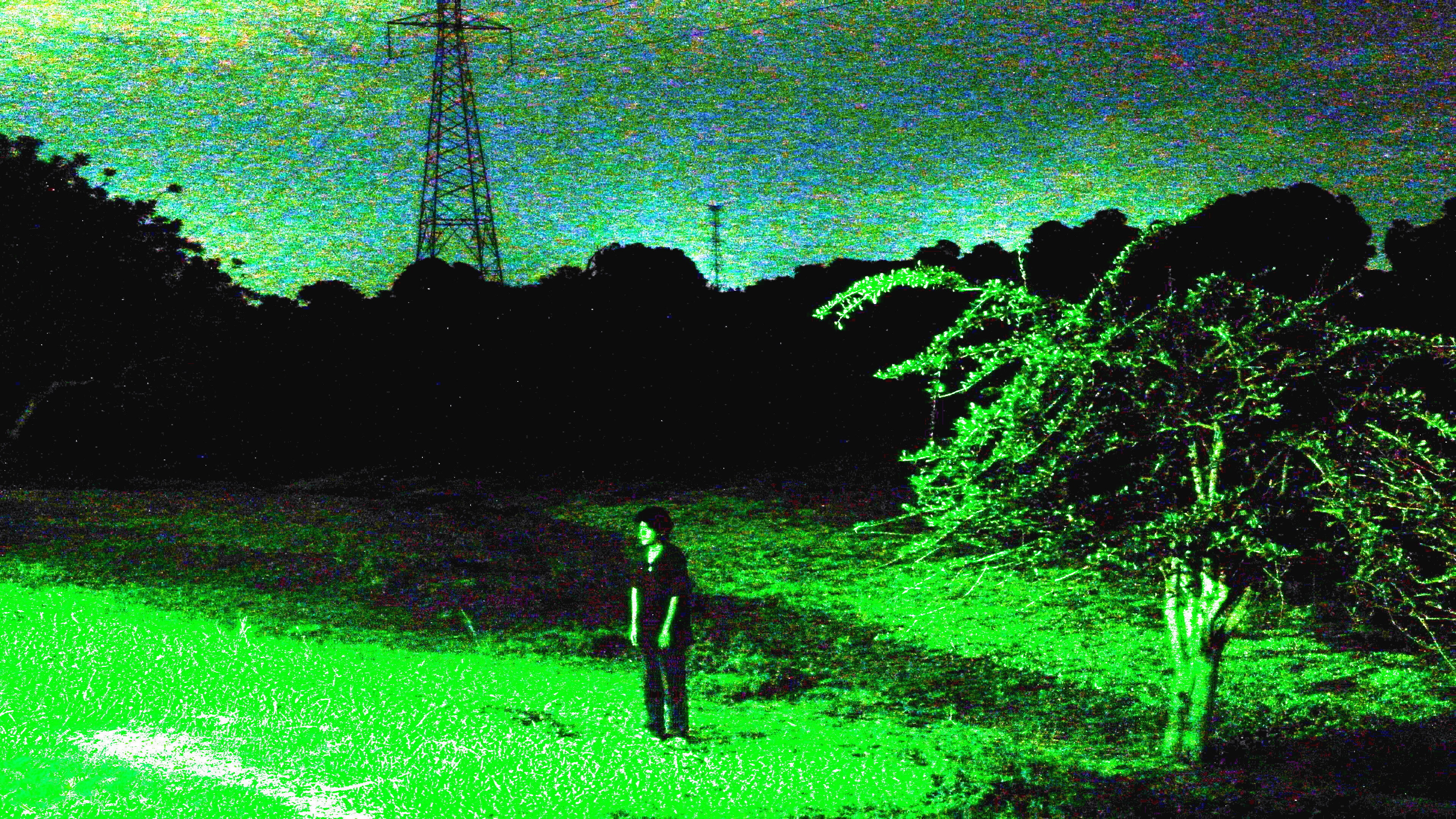 Julián Saw Lights