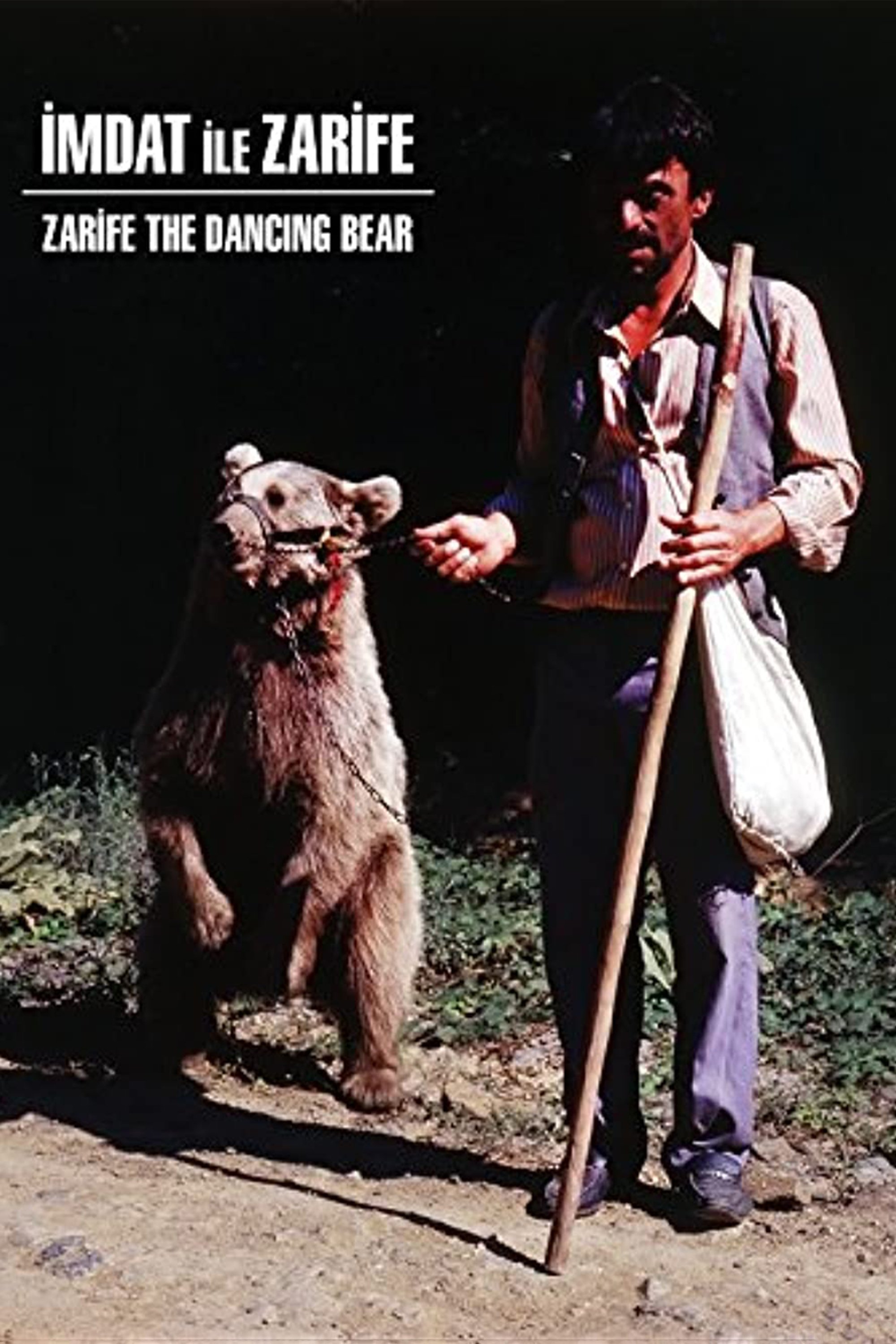 Zarifa The Dancing Bear