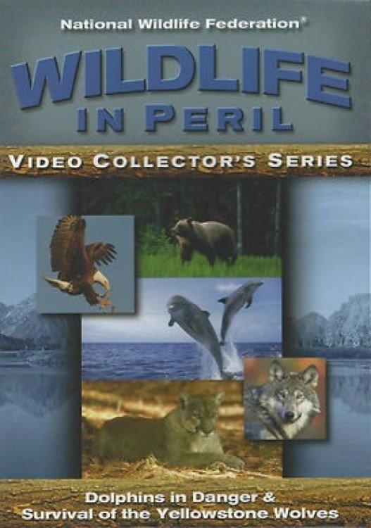 Wildlife in Peril