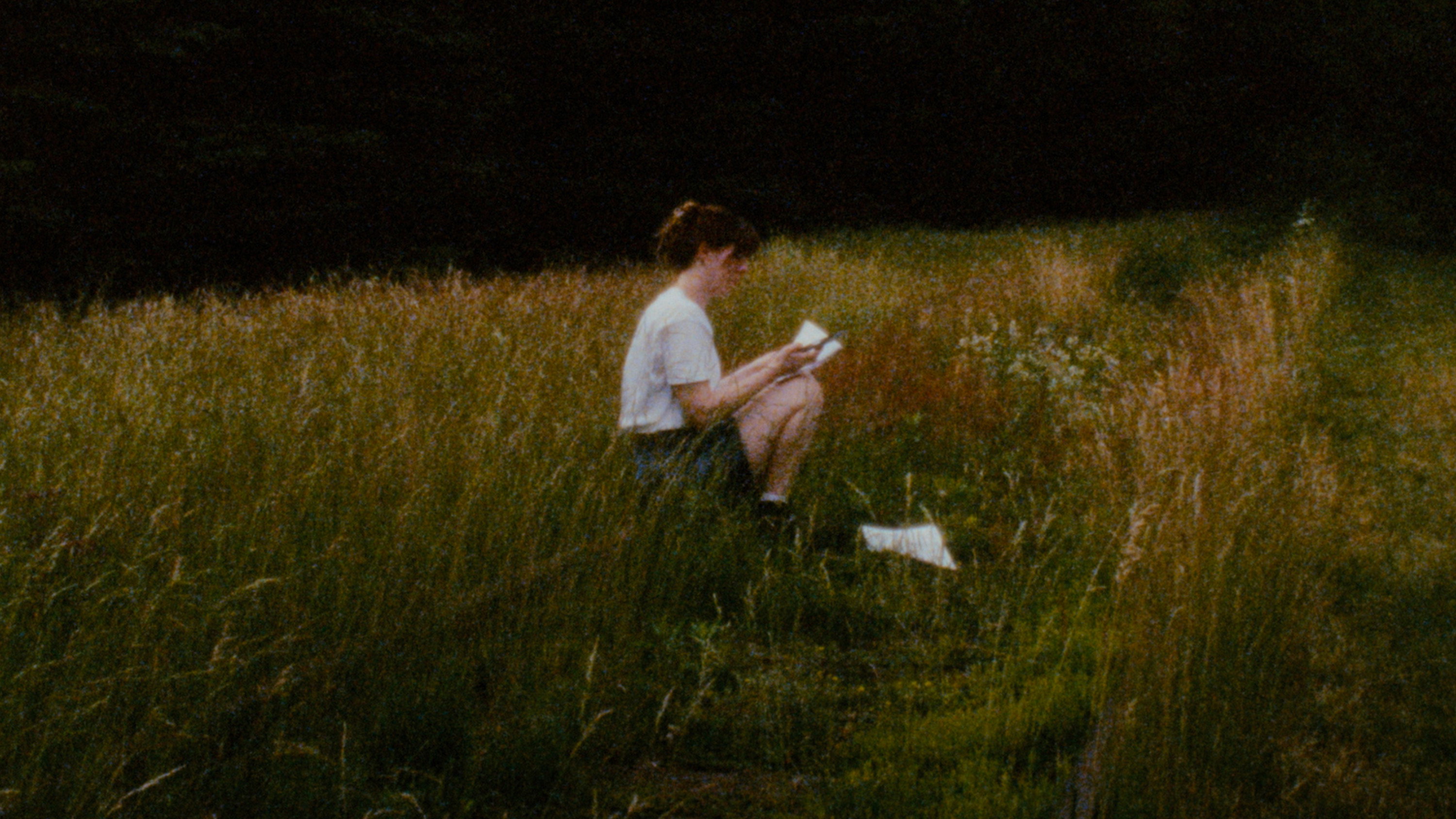 Solitudes