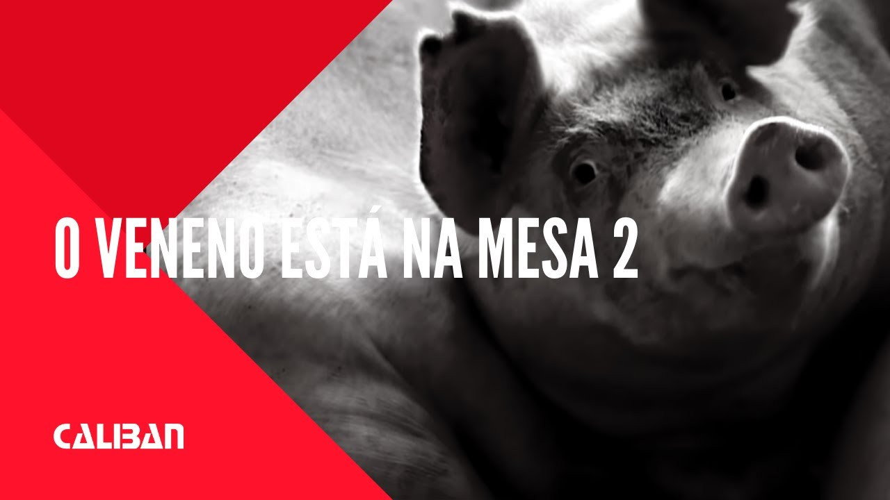 O Veneno Está na Mesa II