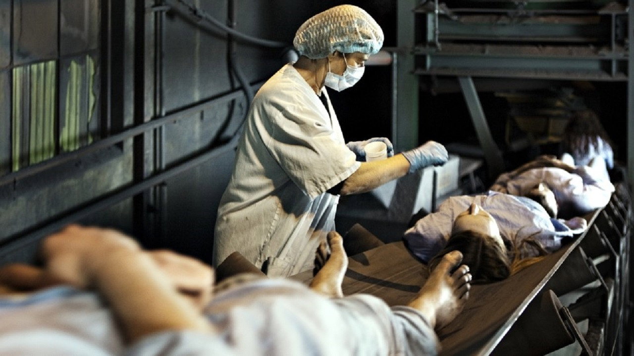 Health Factory