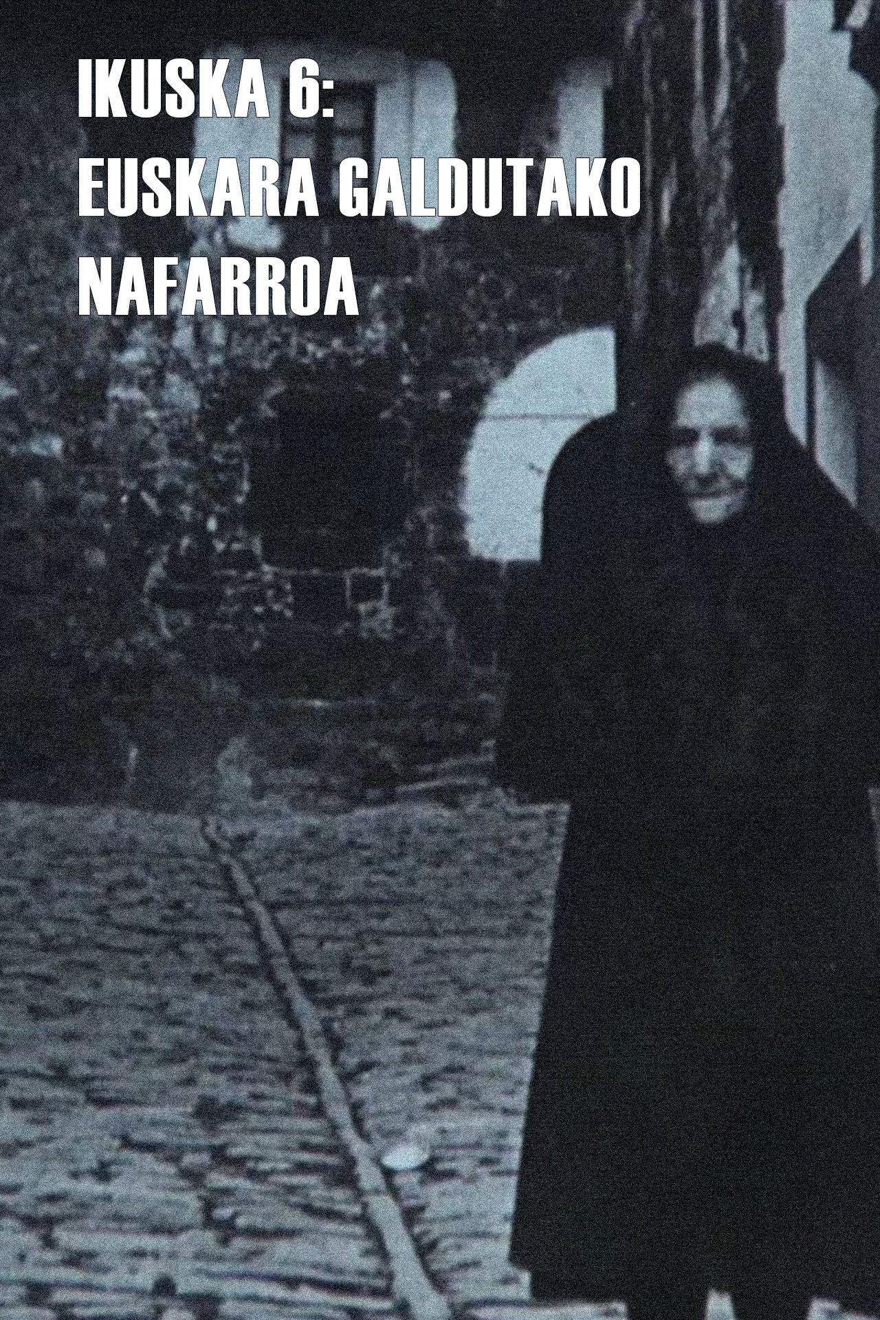 Ikuska 6: Euskara galdutako Nafarroa
