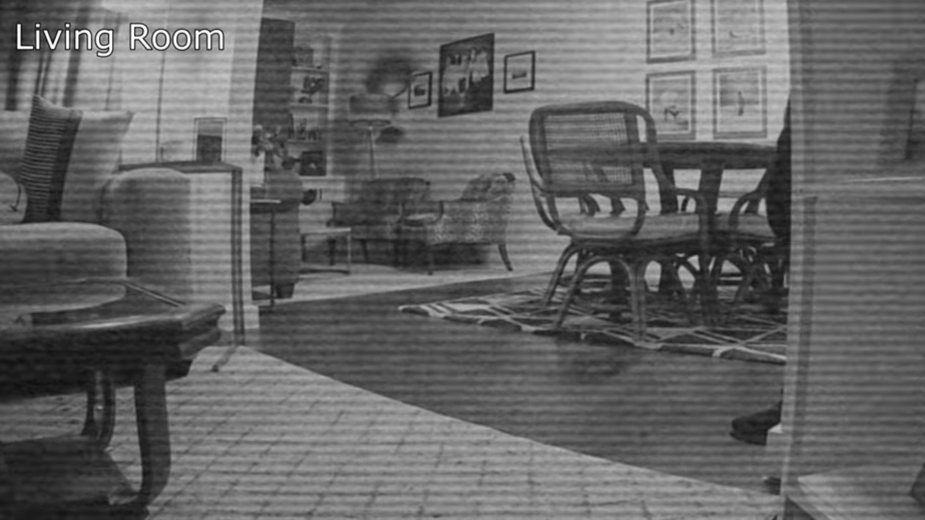 My House Is Haunted