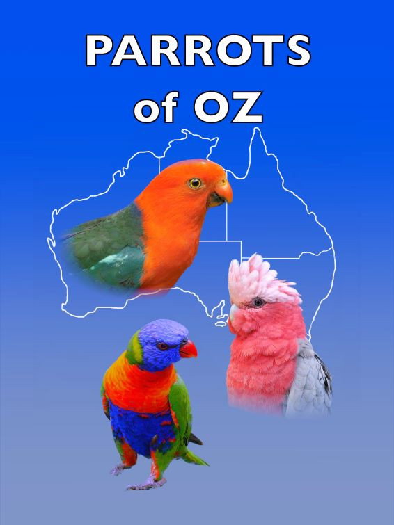 Parrots of Oz