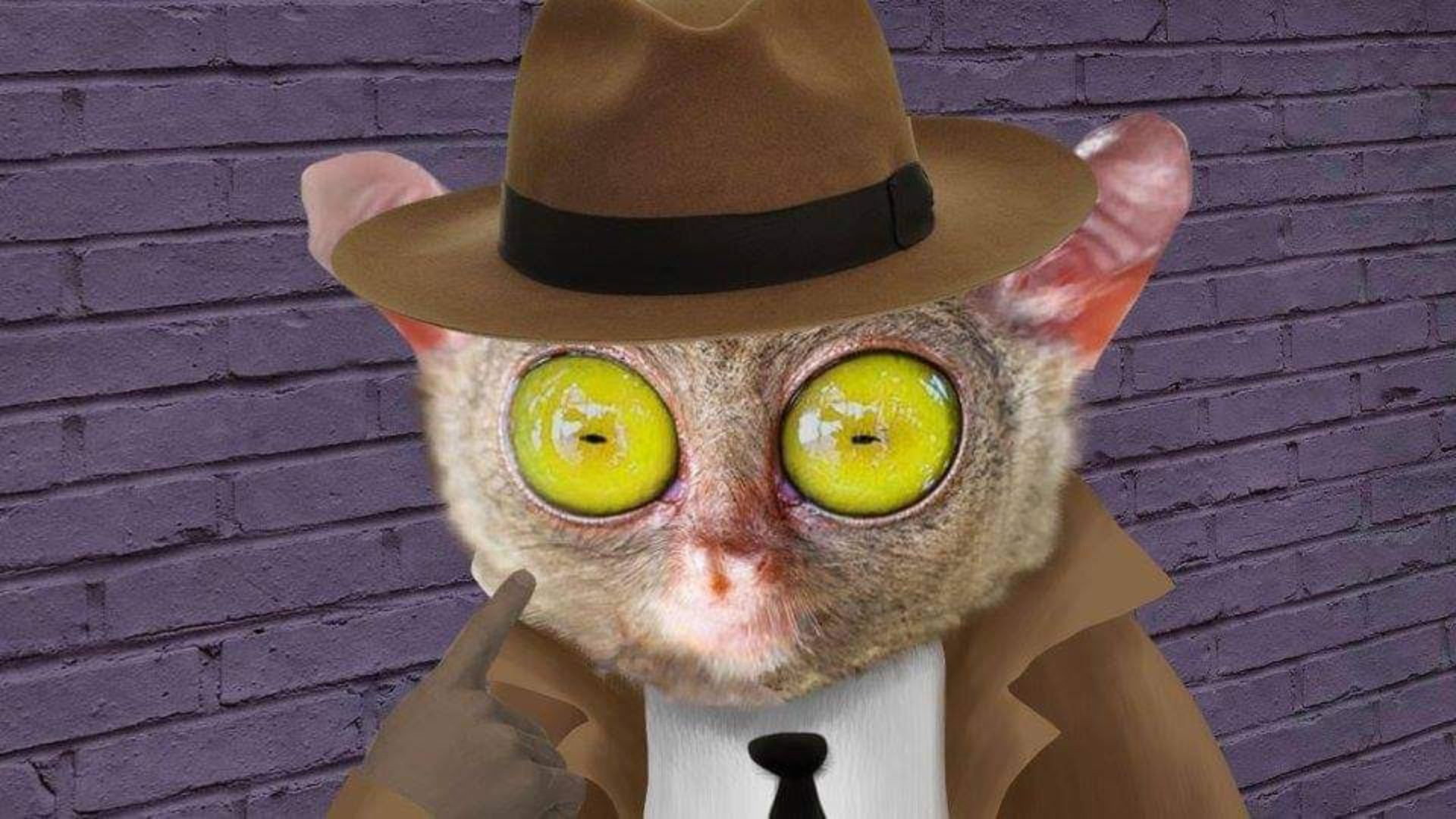 Lorenzo Delgado, Private Investigator