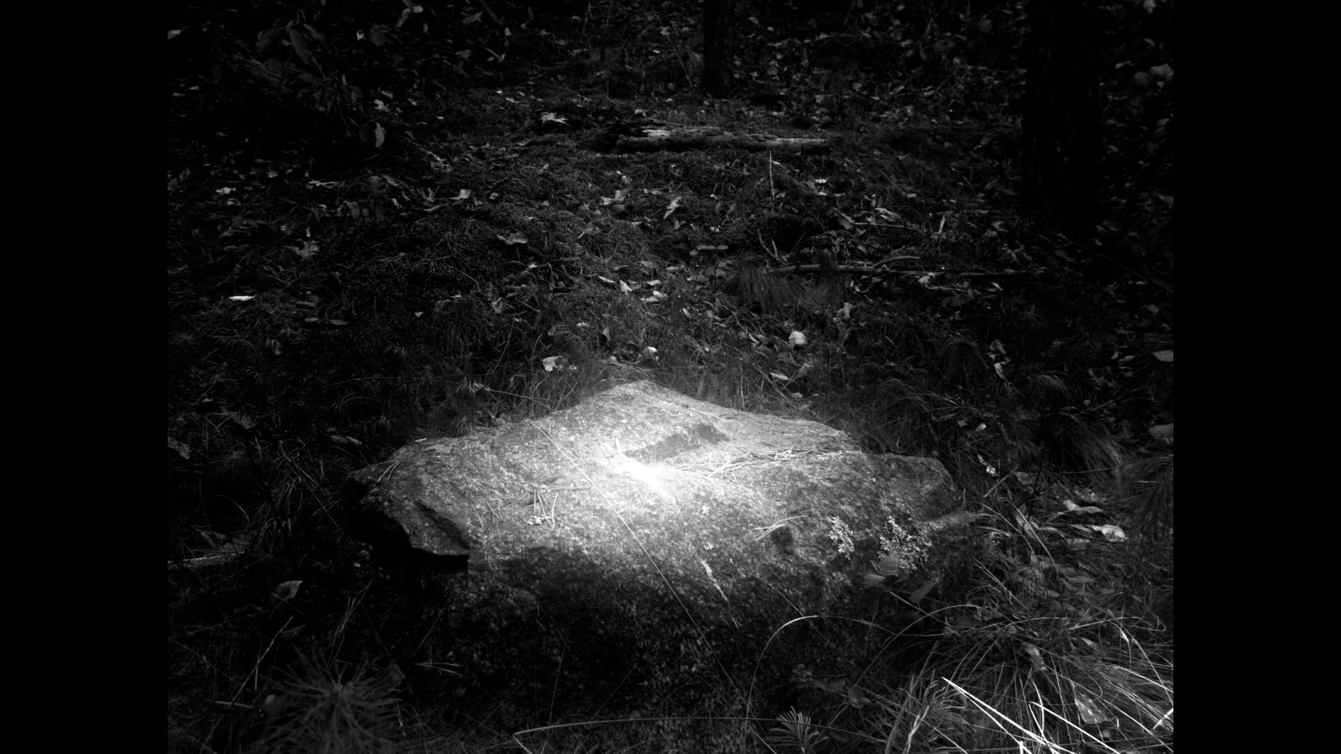 amphibolos lithos
