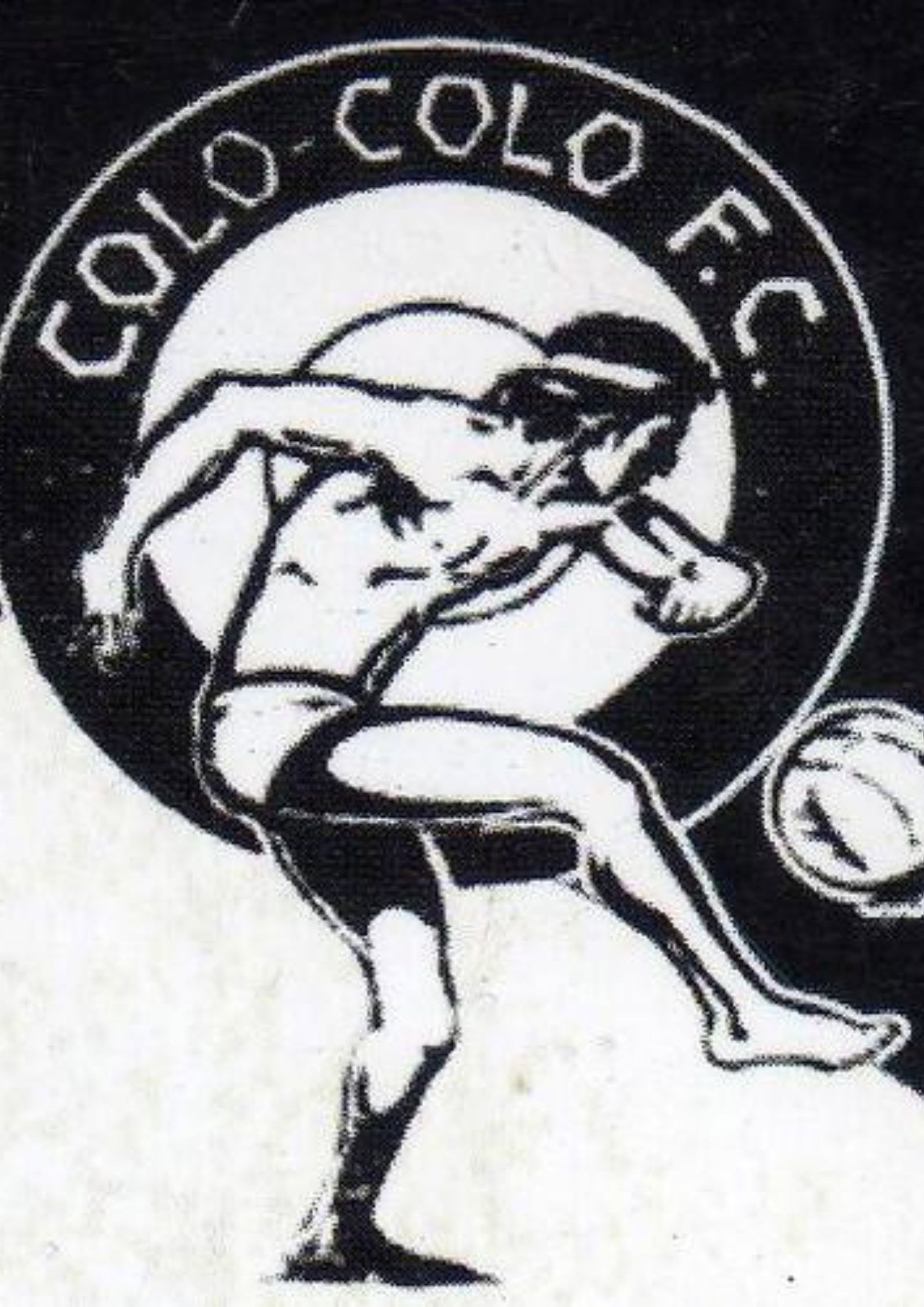 Colo-Colo Un Objeto de Deseo