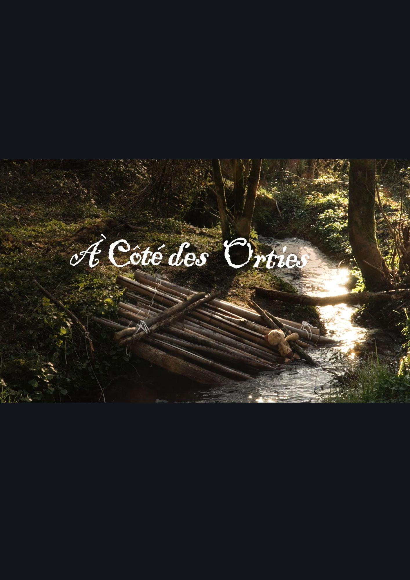 A côté des orties