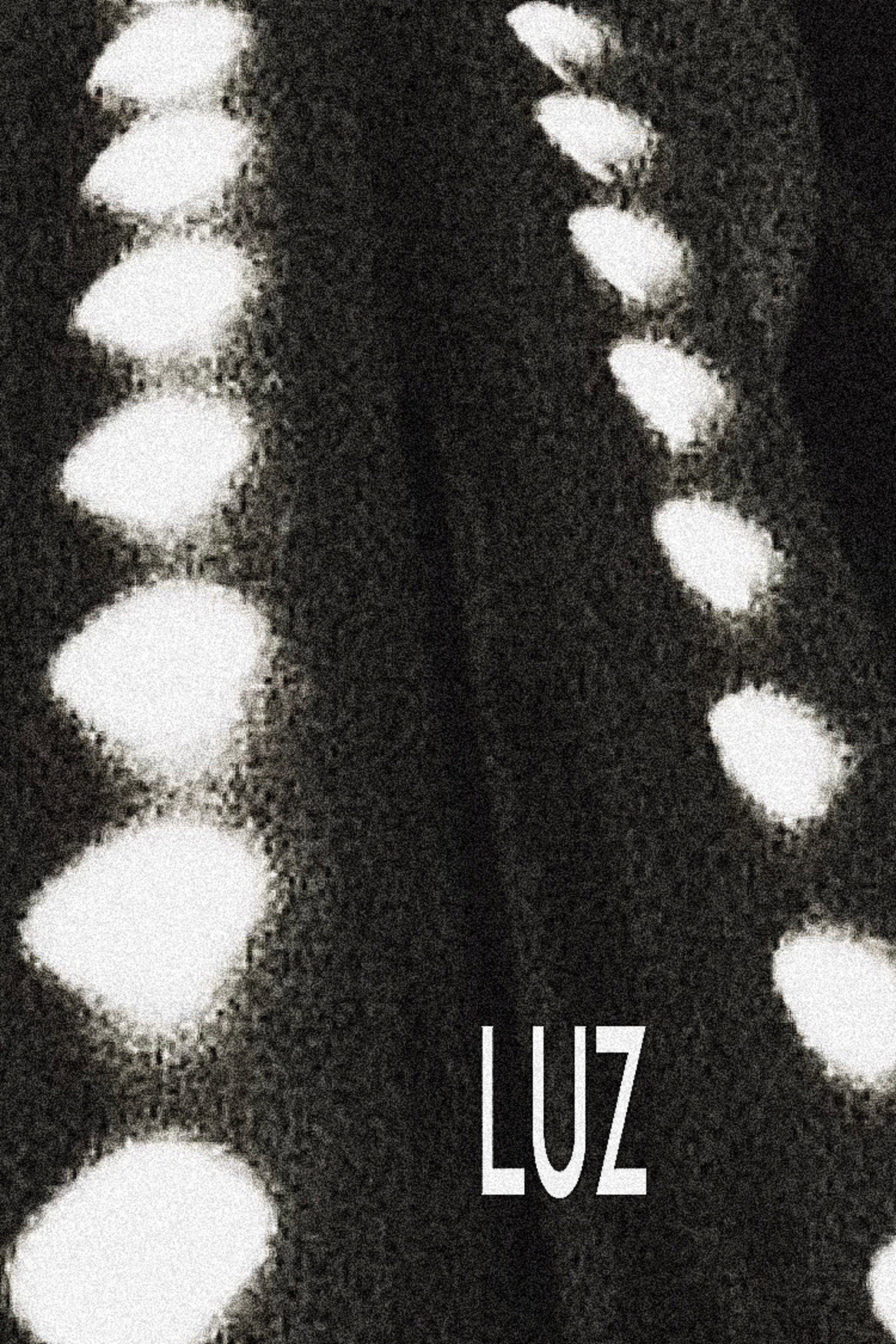 Luz