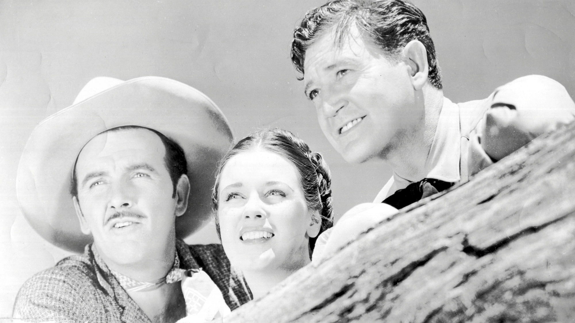 The Roundup