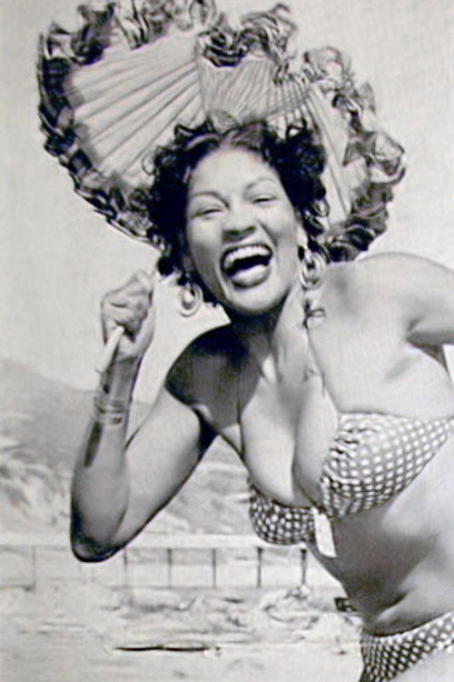 Suzette Harbin
